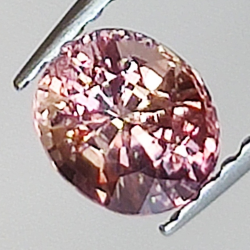 0.94ct Saphir Padparadscha coupe ovale 5.9x5.0mm