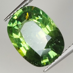 4.49ct Apatite Verde taglio cuscino 11.8x8.8mm