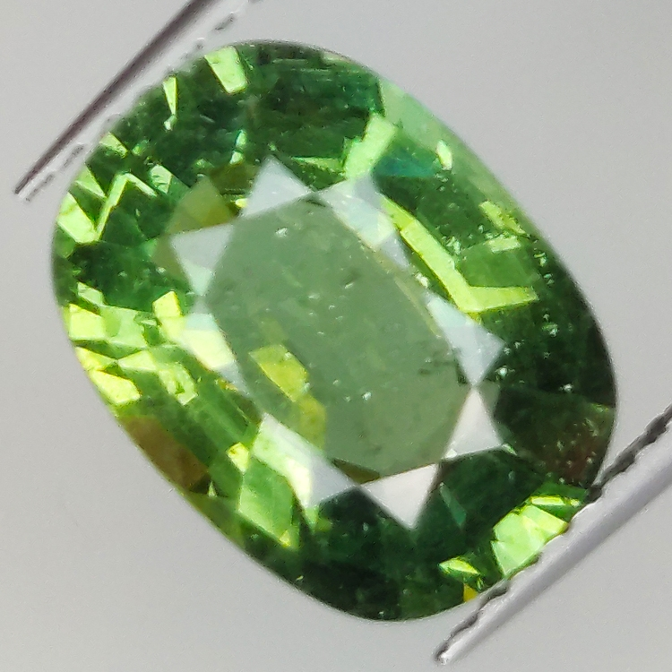 4.49ct Apatite Verde taglio cuscino 11.8x8.8mm