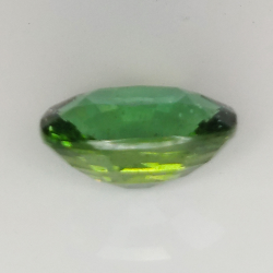 4.49ct Apatite Verte coussin coupe 11.8x8.8mm