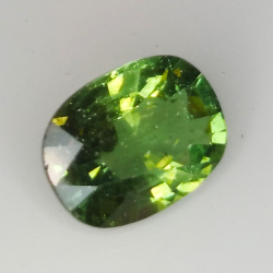 4.49ct Apatite Verte coussin coupe 11.8x8.8mm