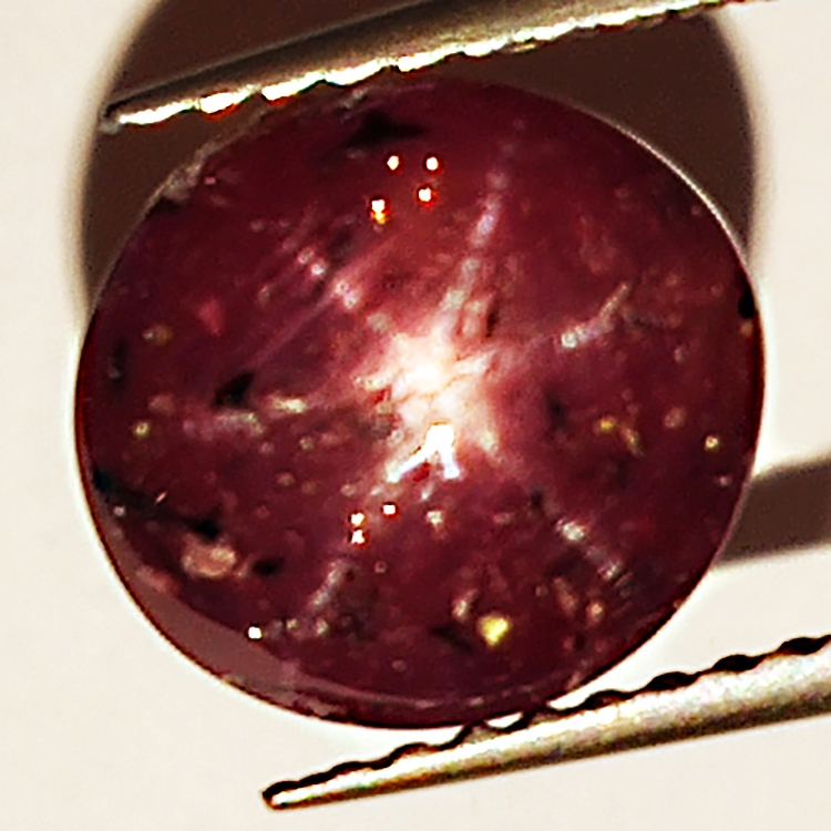 6.00ct Rubis Étoilé cabochon ovale 8.8x8.2mm