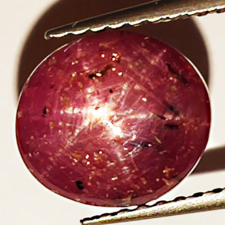 4.90ct Ruby Star cabochon oval 8.7x7.9mm