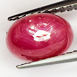 2.64ct Ruby Star cabochon oval 7.6x5.2mm