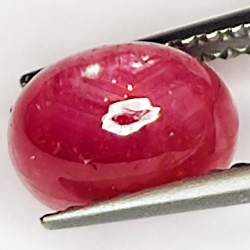 2.64ct Rubis Étoilé cabochon ovale 7.6x5.2mm