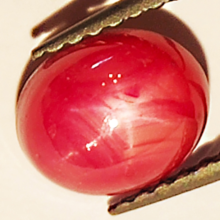 2.35ct Ruby Star cabochon oval 7.3x6.0mm