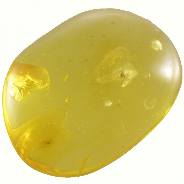 7.90ct Baltic Amber with insect cabochon 24x17mm