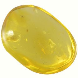 7.90ct Baltic Amber with insect cabochon 24x17mm