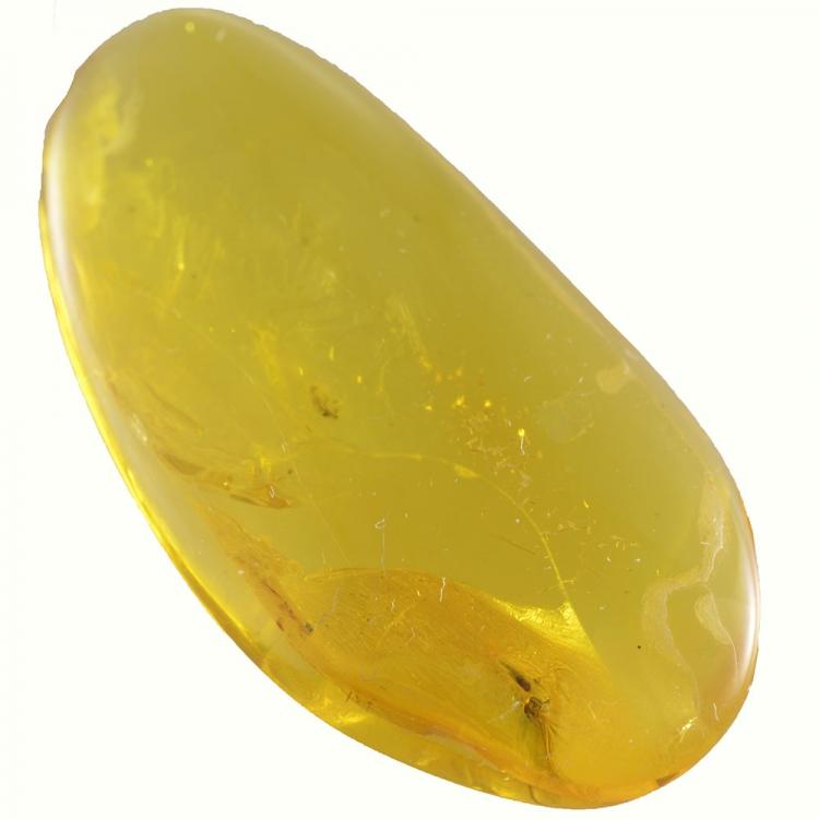 8.21ct Baltic Amber with insect cabochon 33x17mm