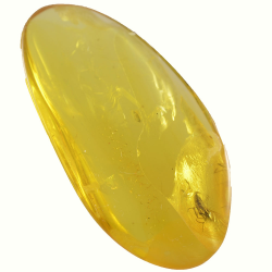 8.21ct Ambre Baltique avec cabochon d'insecte 33x17mm