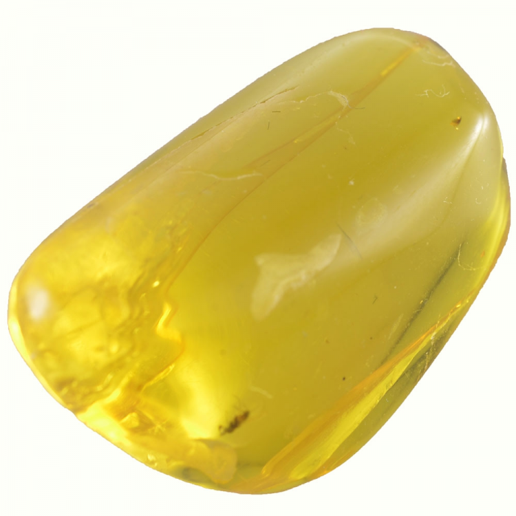 16.60ct Baltic Amber with insect cabochon 28x14mm