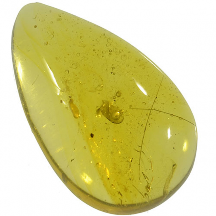 5.58ct Amber cabochon cut 20x14mm