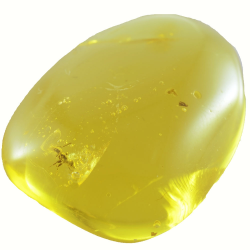 9.97ct Baltic Amber with insect cabochon 23x18mm