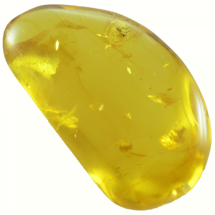 12.73ct Baltic Amber with insect cabochon 27x15mm