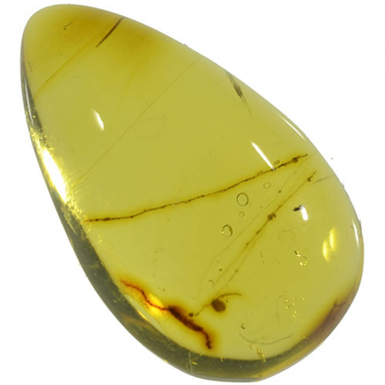 4.96ct Ambre cabochon coupé 18x12mm