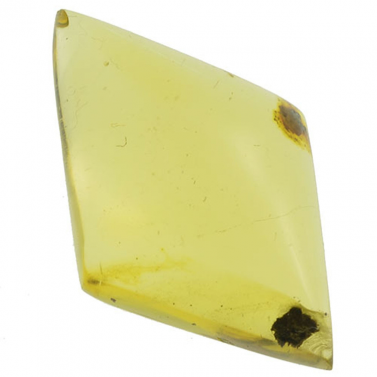 3.94ct Ambre cabochon ovale 22x14mm