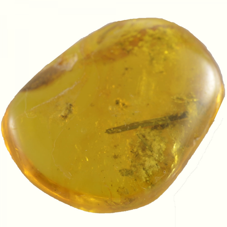 15.58ct Ambra Baltica con insetto cabochon 26x21mm