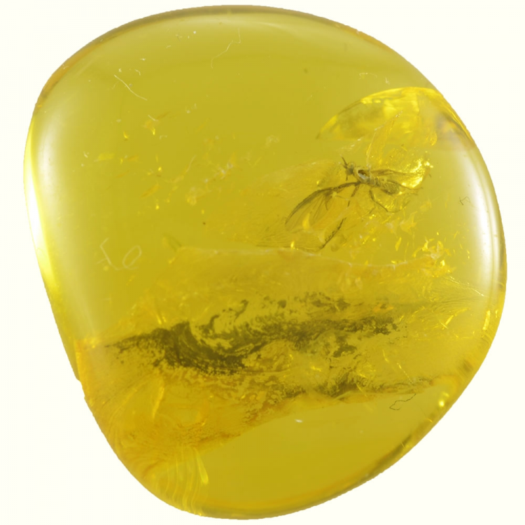 8.31ct Baltic Amber with insect cabochon 21x18mm