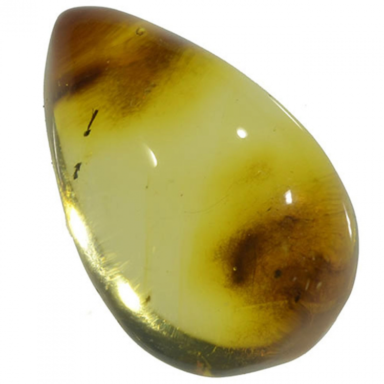 5.18ct Ambra cabochon ovale 18x12mm