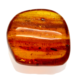 49.29ct Amber from Dominican Republic with weevil and fly cabochon 31x29mm