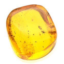 39.78ct Amber from Dominican Republic with chandelier, flies and mobile bubbles cabochon 28x25mm