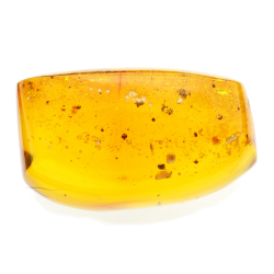 39.78ct Amber from Dominican Republic with chandelier, flies and mobile bubbles cabochon 28x25mm