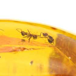 39.78ct Amber from Dominican Republic with chandelier, flies and mobile bubbles cabochon 28x25mm