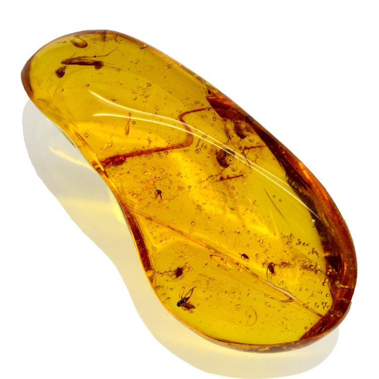 47.06ct Dominican Republic Amber with flies, cicada and moth cabochon 48x23mm