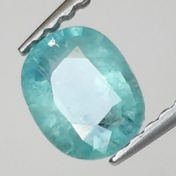 Grandidierite Ovale Taille 0.51ct