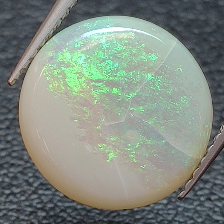 3.79ct Cabochon rond d'opale noble