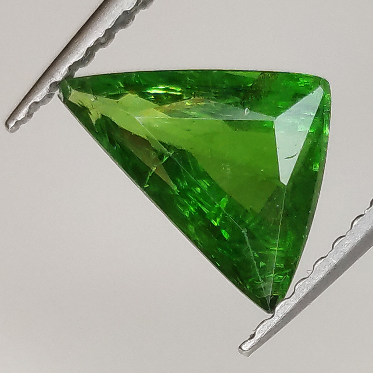 1,40 ct Granato Tsavorite verde taglio trillian 9,00x4,47mm