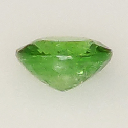 1.27ct Grenat Tsavorite Taille ovale 6.97x6.10mm