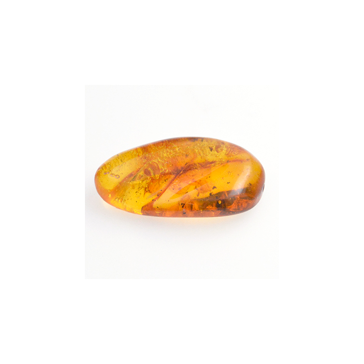 13,87ct Ambre avec cabochon insecte 31,14 x 16,7mm