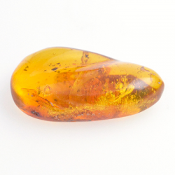 13,87ct Ambre avec cabochon insecte 31,14 x 16,7mm