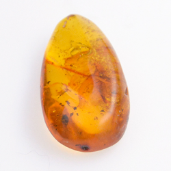 13,87ct Ambre avec cabochon insecte 31,14 x 16,7mm