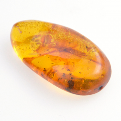 13,87ct Ambre avec cabochon insecte 31,14 x 16,7mm