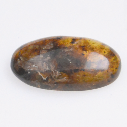 4.1ct Ambre avec insecte cabochon