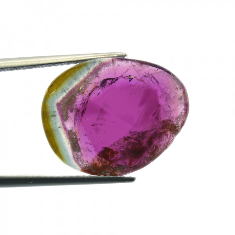 8,89ct Pastèque Tourmaline Tranche