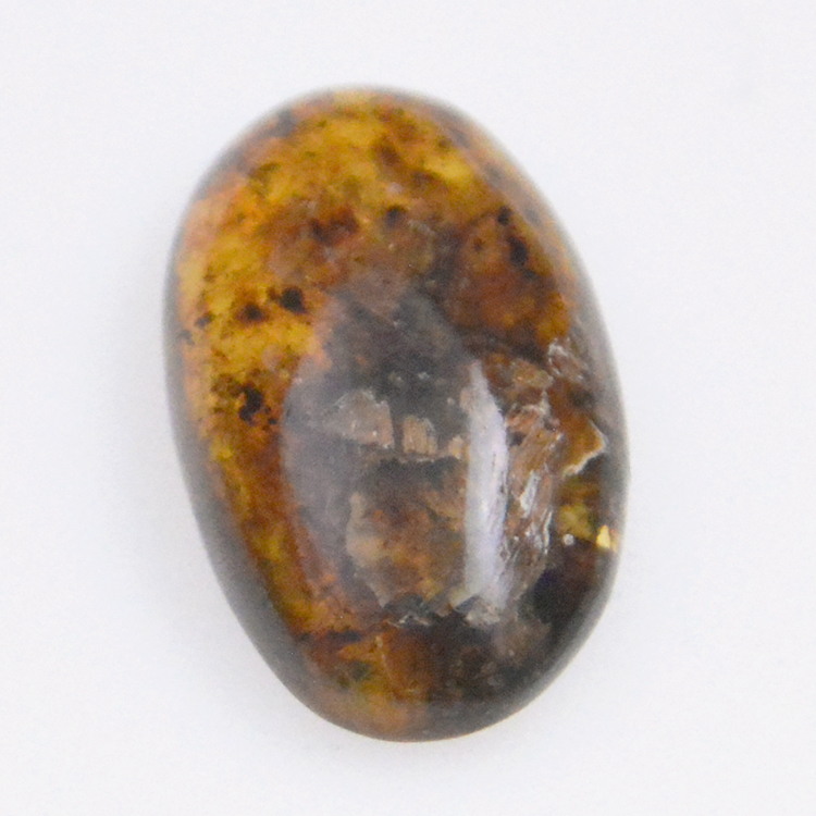 4,1ct Bernstein mit Cabochon Insekt