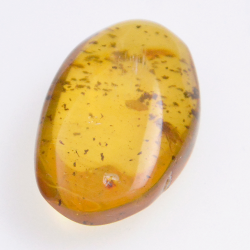 6.30ct Amber with cabochon insect