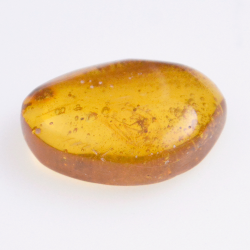 6.77ct Amber with cabochon insect