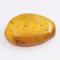 6.77ct Amber with cabochon insect