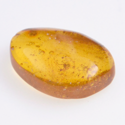 6.77ct Amber with cabochon insect