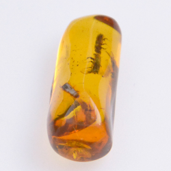 Ambre 4,55ct avec cabochon insecte 21,37x8,26mm