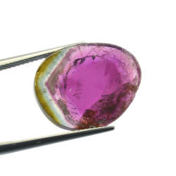 8,89ct Watermelon Tourmaline Slice Cut