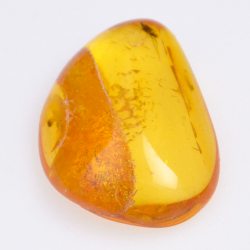 4,55 ct Bernstein mit Insekten-Cabochon 21,37 x 8,26 mm