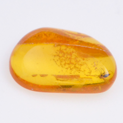 4.55ct Amber with insect cabochon 21.37x8.26mm