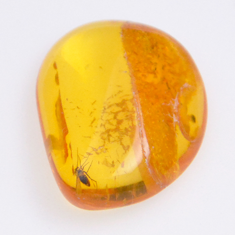 4.55ct Amber with insect cabochon 21.37x8.26mm