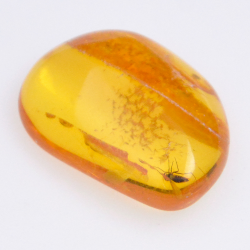 4.55ct Amber with insect cabochon 21.37x8.26mm