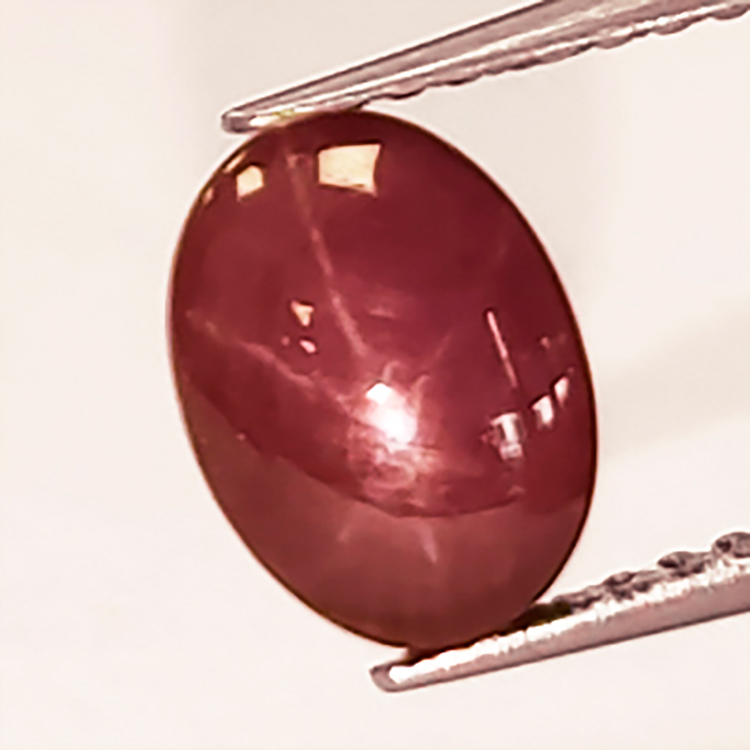 Cabochon rotondo con stella di rubino da 1,90 ct